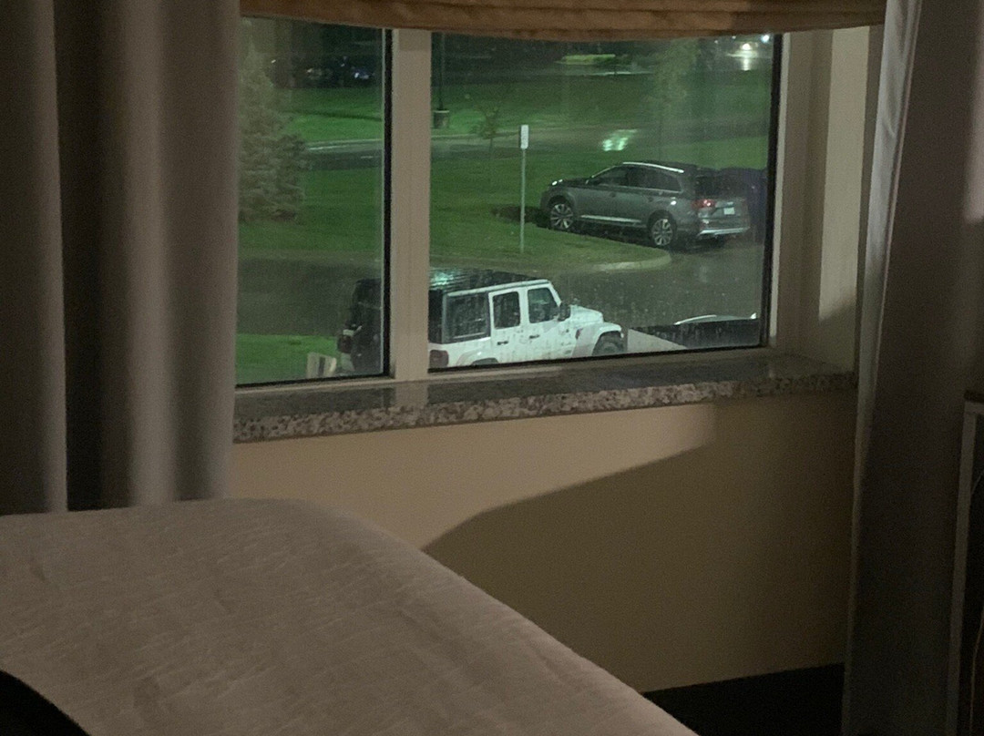 Hilton Garden Inn Detroit Troy主图