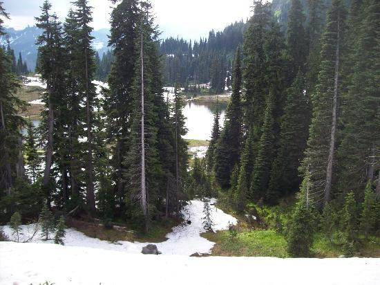 Mt. Fremont Lookout Trail景点图片