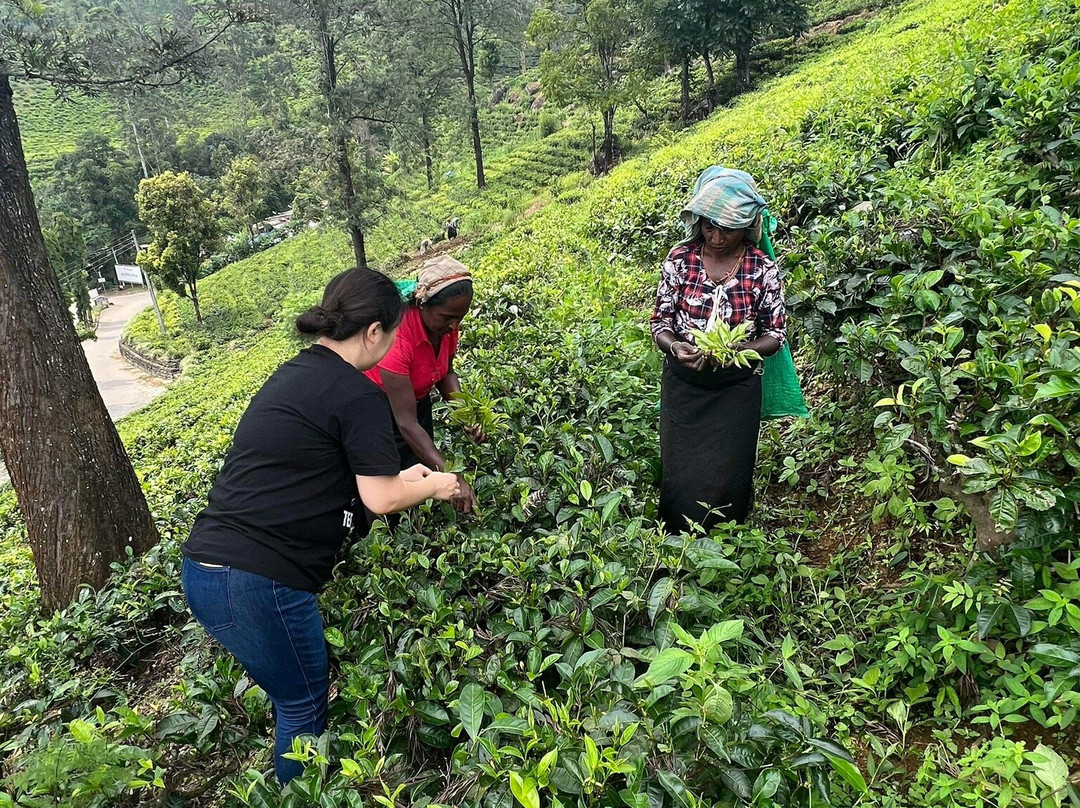 B Super Tours-锡吉里亚必去景点