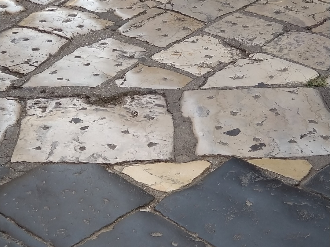 Corfu Perspectives Guided Tours-科孚市必去景点