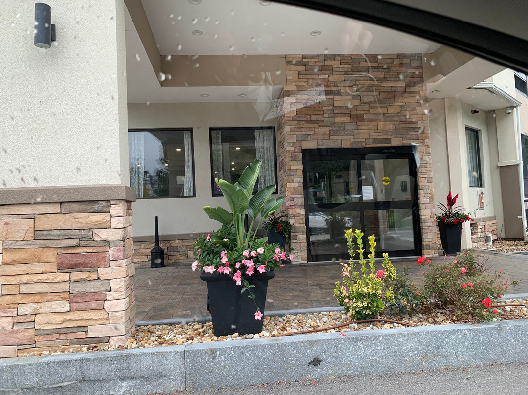 Best Western Hampshire Inn & Suites主图