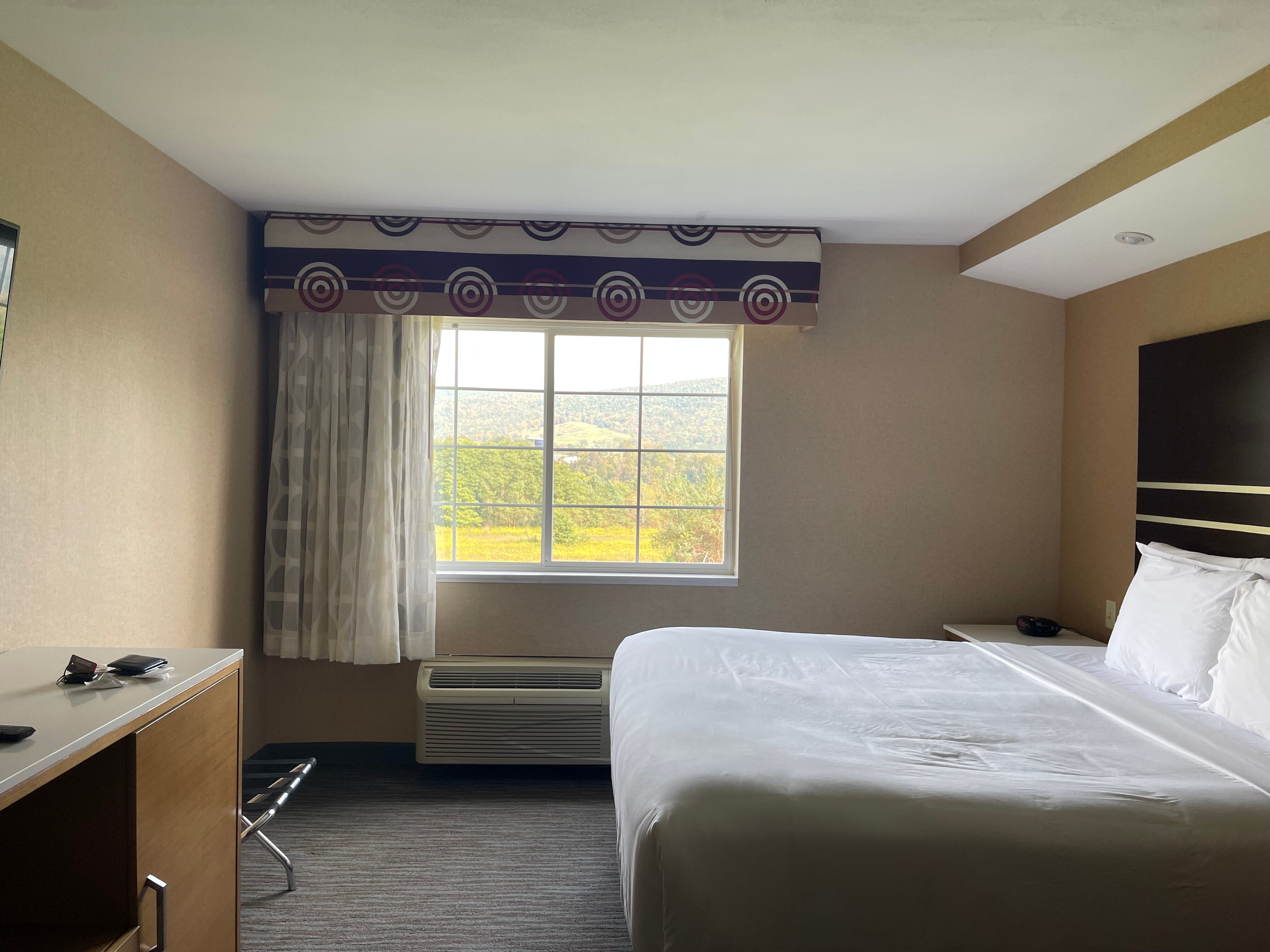 Best Western Cooperstown Inn & Suites-客卧