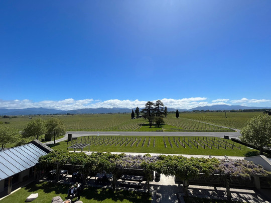 Hop n Grape Tours-布伦海姆必去景点