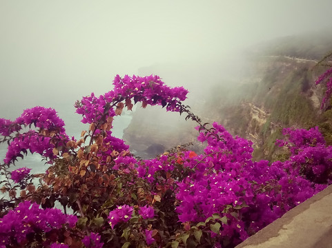 Pratama Bali Tour-沙努尔必去景点