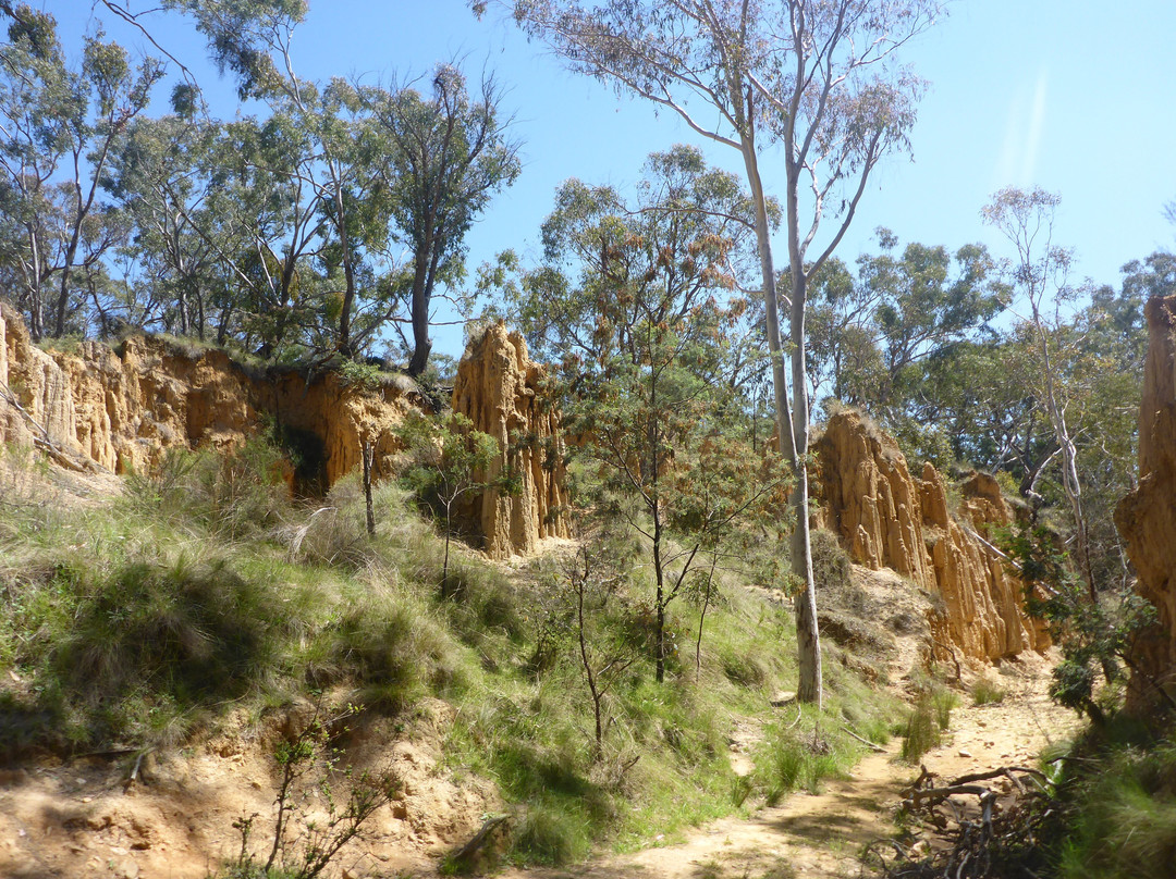 Golden Gully-Hill End必去景点
