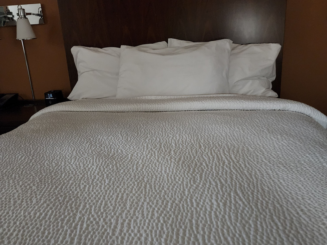 Four Points by Sheraton Edmonton West主图