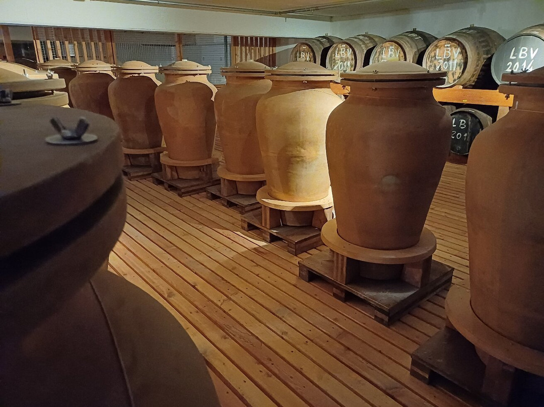 Distilleria Marzadro-Nogaredo必去景点