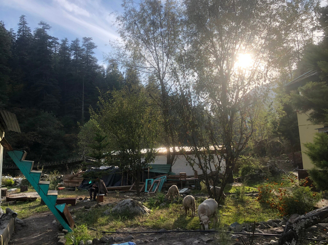 The Hidden Dorf Cottage