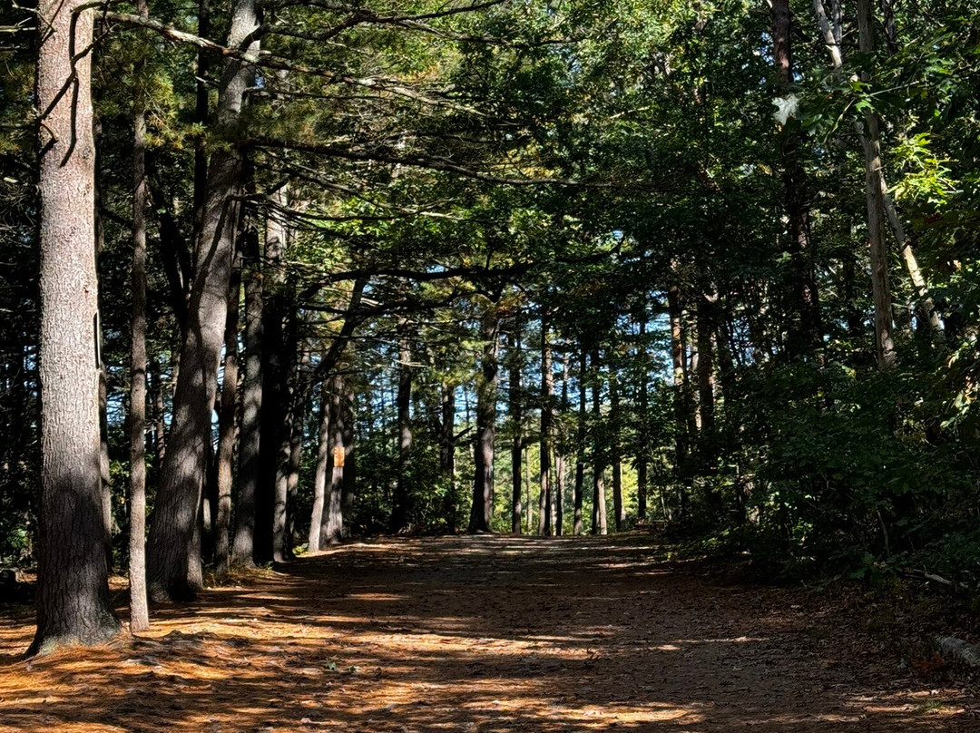 Fairfield Inn & Suites Boston Marlborough/Apex Center主图