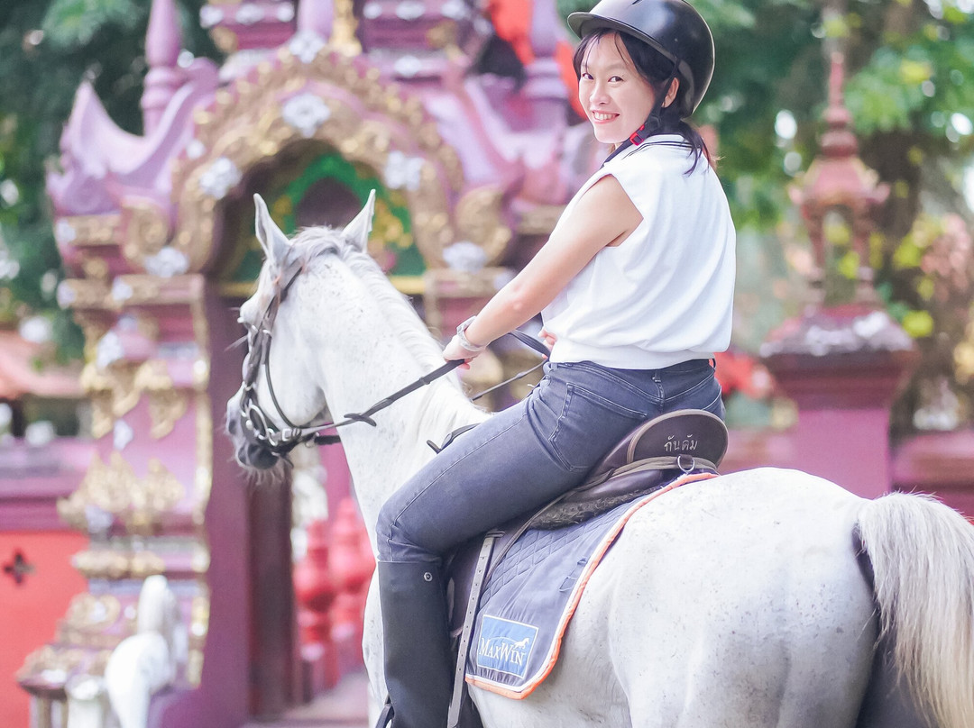 Pong Horse Park-Baan Pong必去景点