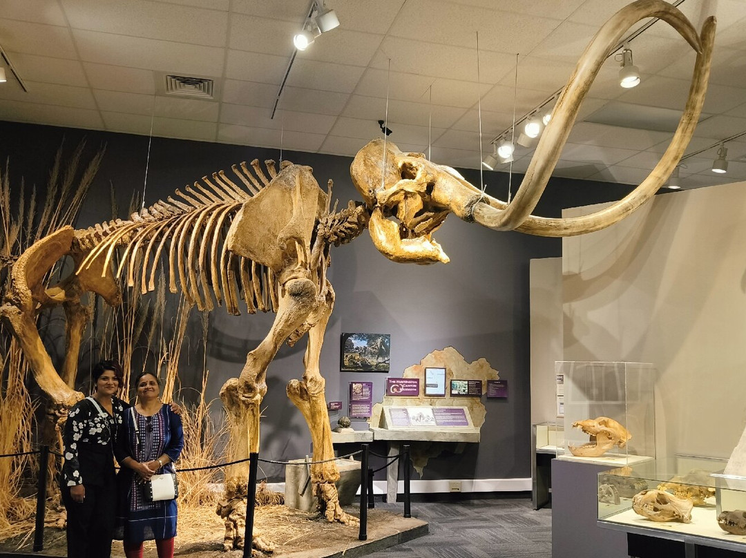 Herrett Center for Arts and Science-特温福尔斯必去景点