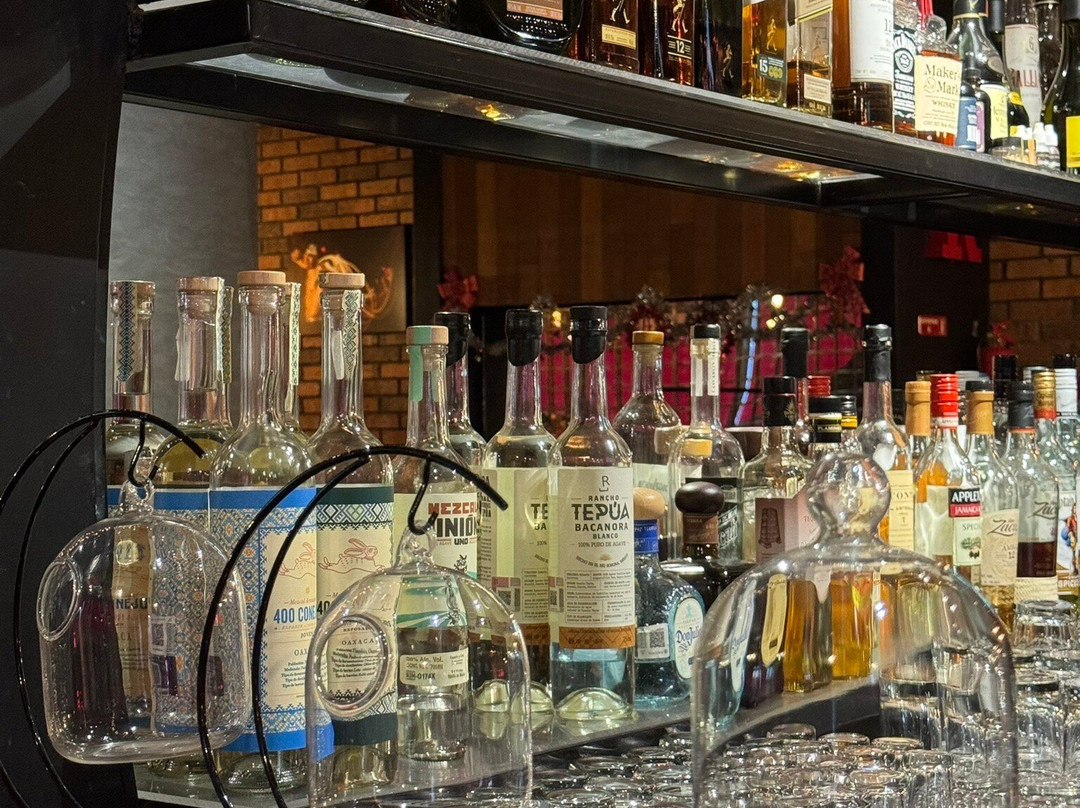 Estadio Caliente Xoloitzcuintles-蒂华纳必去景点