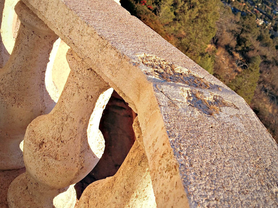 The Forest Villas Hotel主图