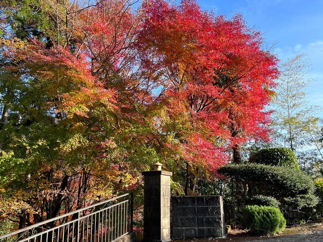Mt. Nabewari-秦野市必去景点