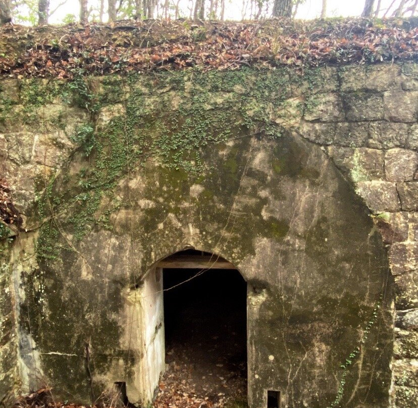 Kaneda Castle Ruins-对马市必去景点