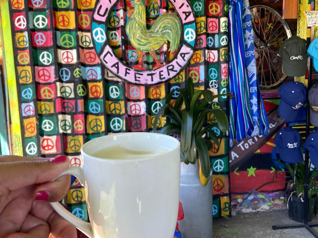 Cafe Pura Vida景点图片