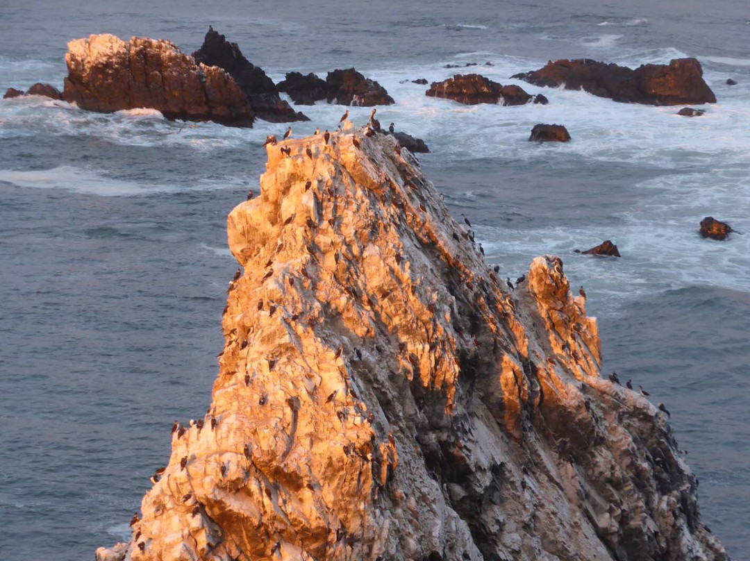 Playa Los Cangrejos-Paita必去景点