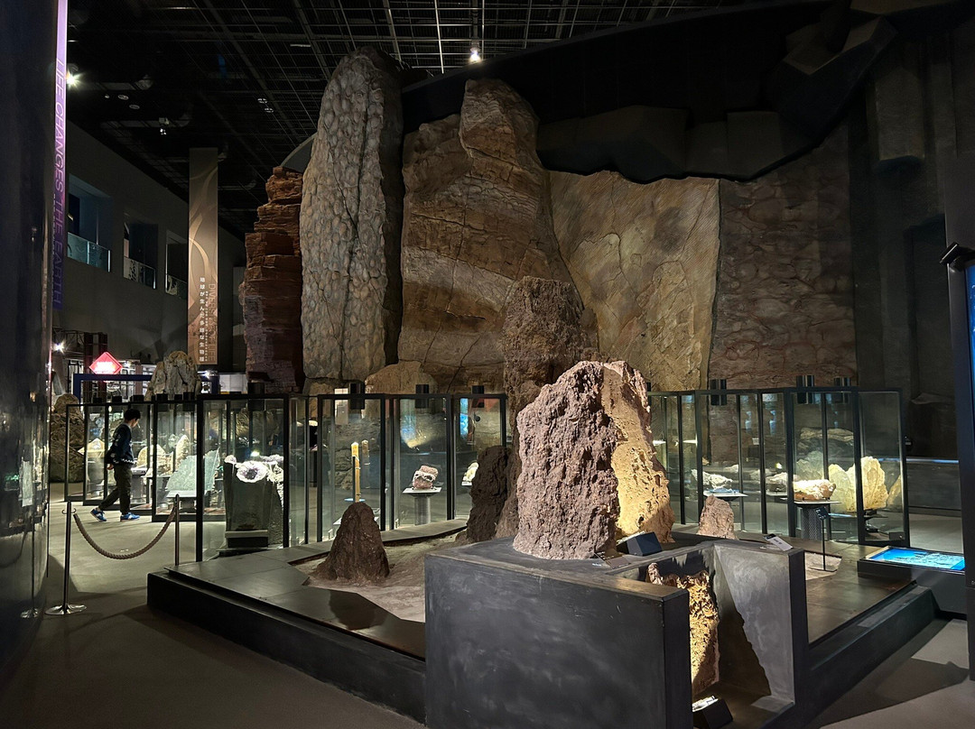 Kanagawa Prefectural Museum of Natural History景点图片
