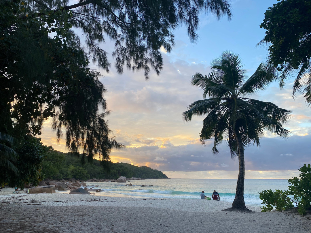 莱富安湾旅馆主图