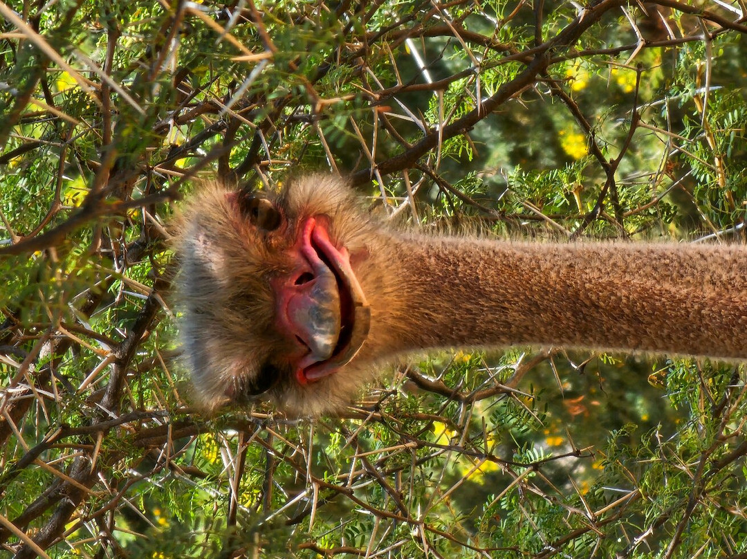 El Dorado Hotel & Self Catering主图