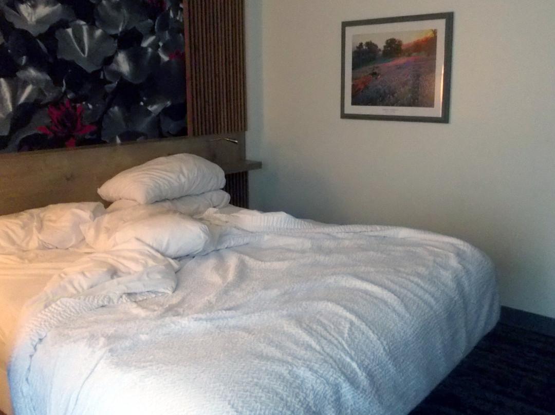 圣塔芭芭拉华美达酒店主图