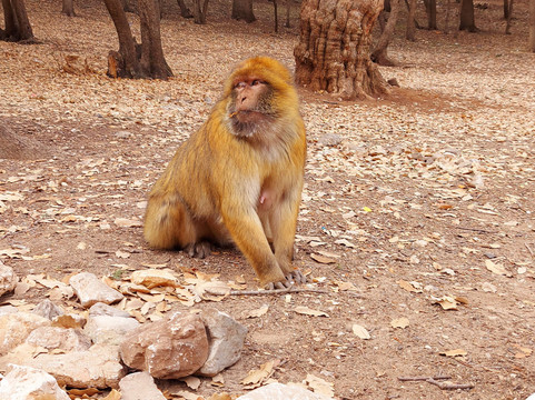 Fez Sahara Tours-非斯必去景点