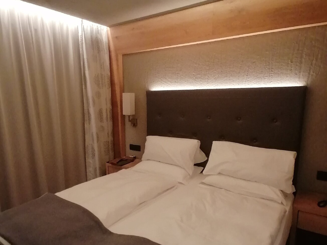 Hotel Roberta Alpine主图