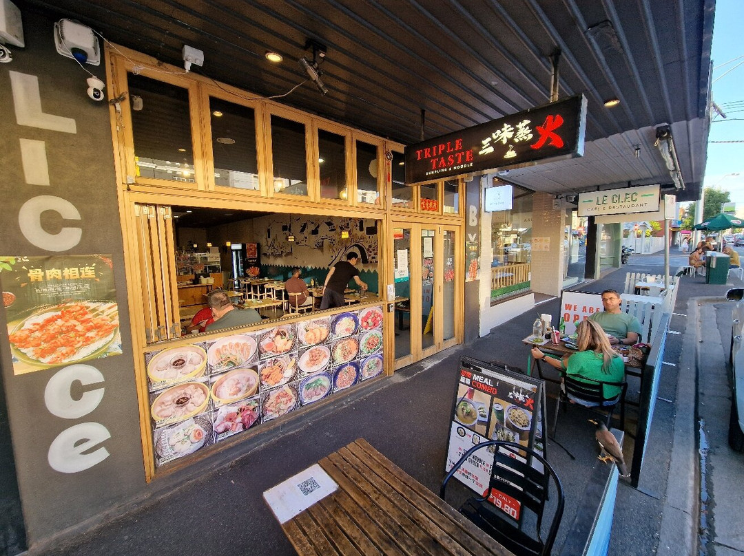 Triple Taste Dumpling and Noodle