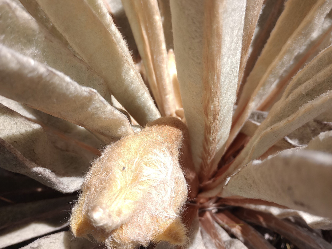 Guía Montaña Sagrada-Mongui必去景点