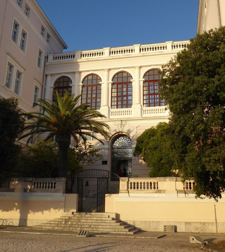University of Zadar-扎达尔必去景点