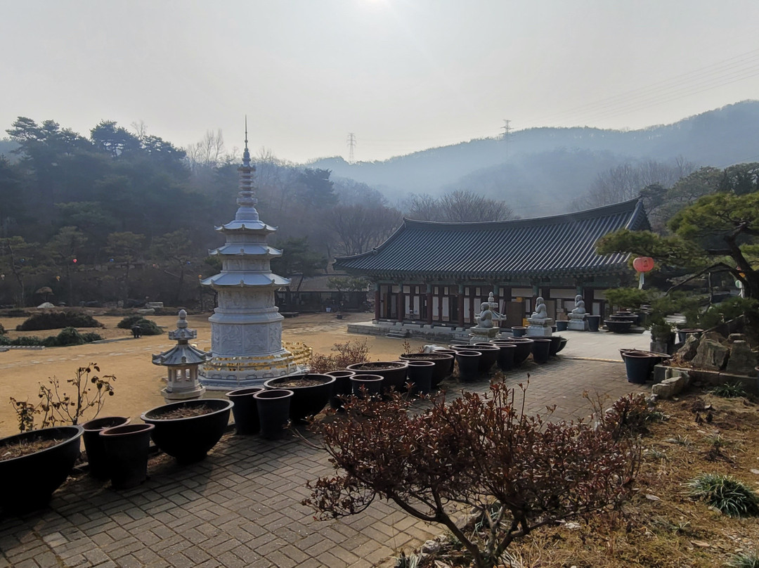 Yeongpyeongsa Temple-世宗市必去景点