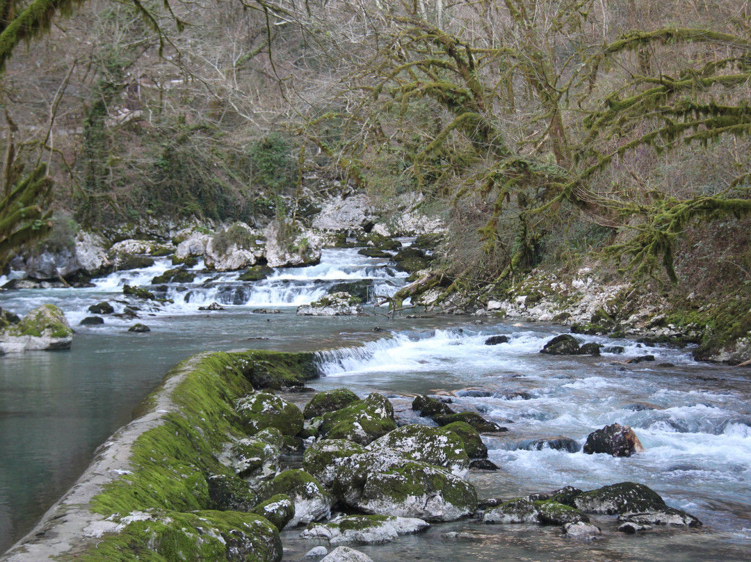 Trout Farm Chernorechenskoye-Gudaut'a必去景点