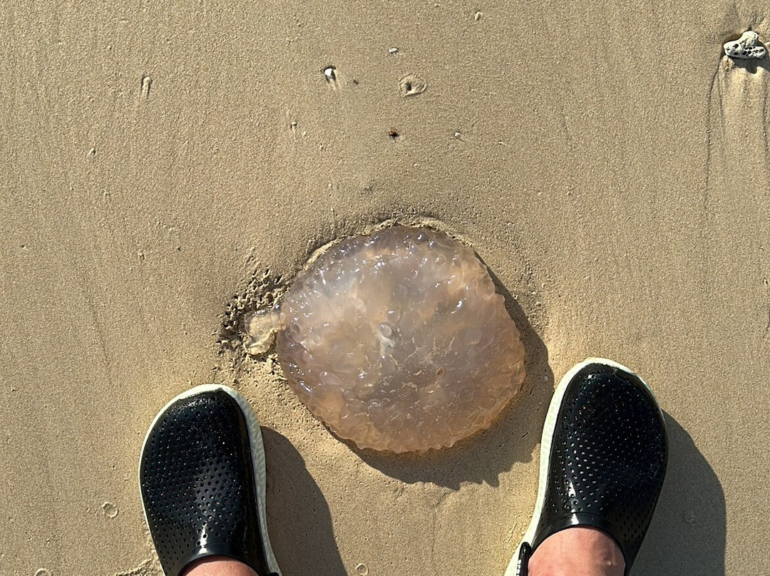 Ao Sai Beach-阁耀亚伊岛必去景点