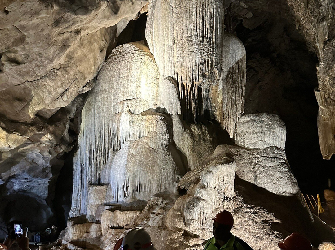 Wellington Caves & Phosphate Mine景点图片