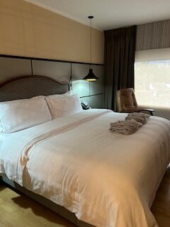 Hotel Poblado Plaza主图