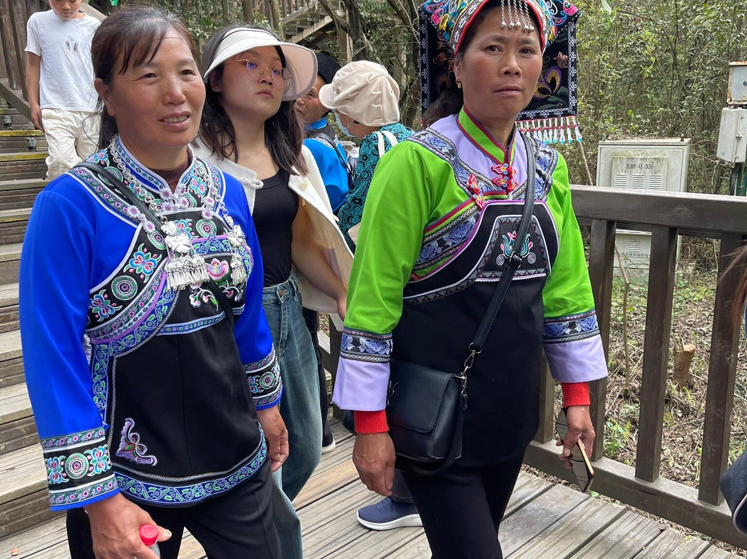 毕节森林公园景点图片