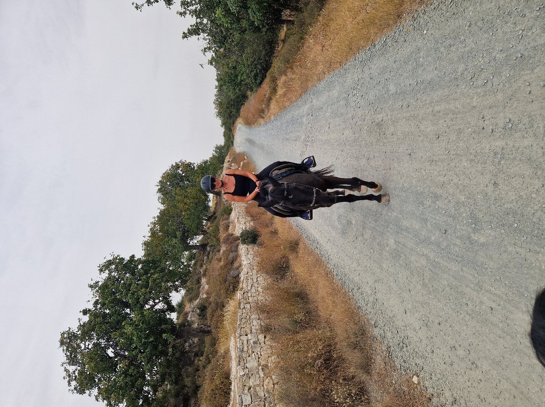 Aphrodite Hills Riding Club-库克利亚必去景点