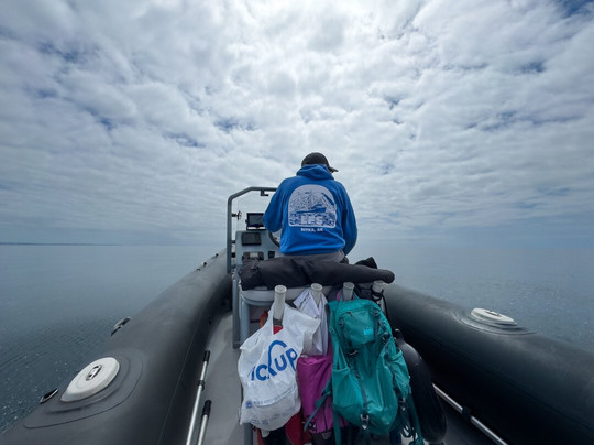 Bear Paw Charters, LLC-星期五港湾必去景点