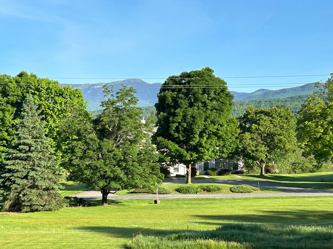 黄铜灯笼酒店主图