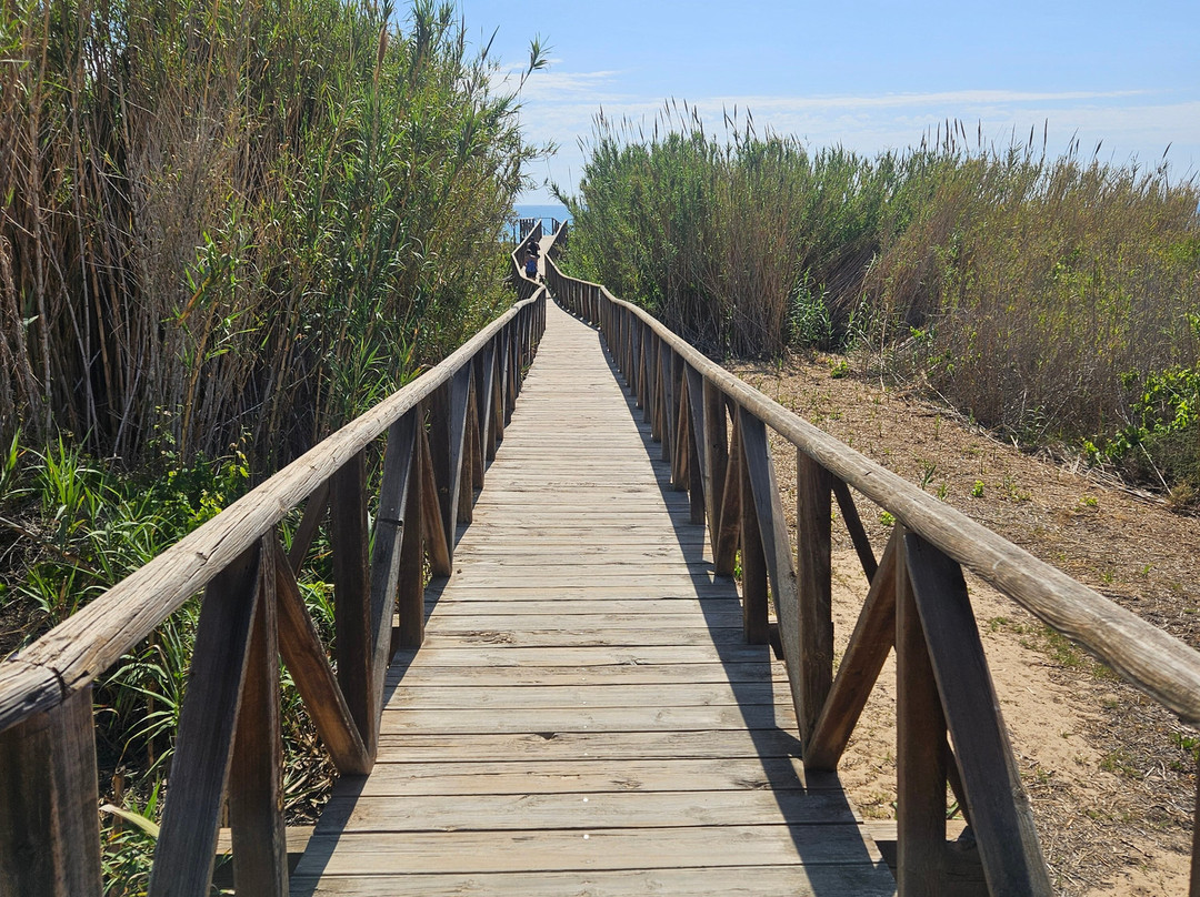 Guardamar Moncayo Beach景点图片