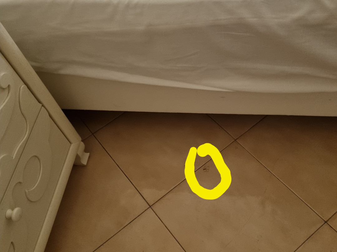 Hotel Terme Tritone主图