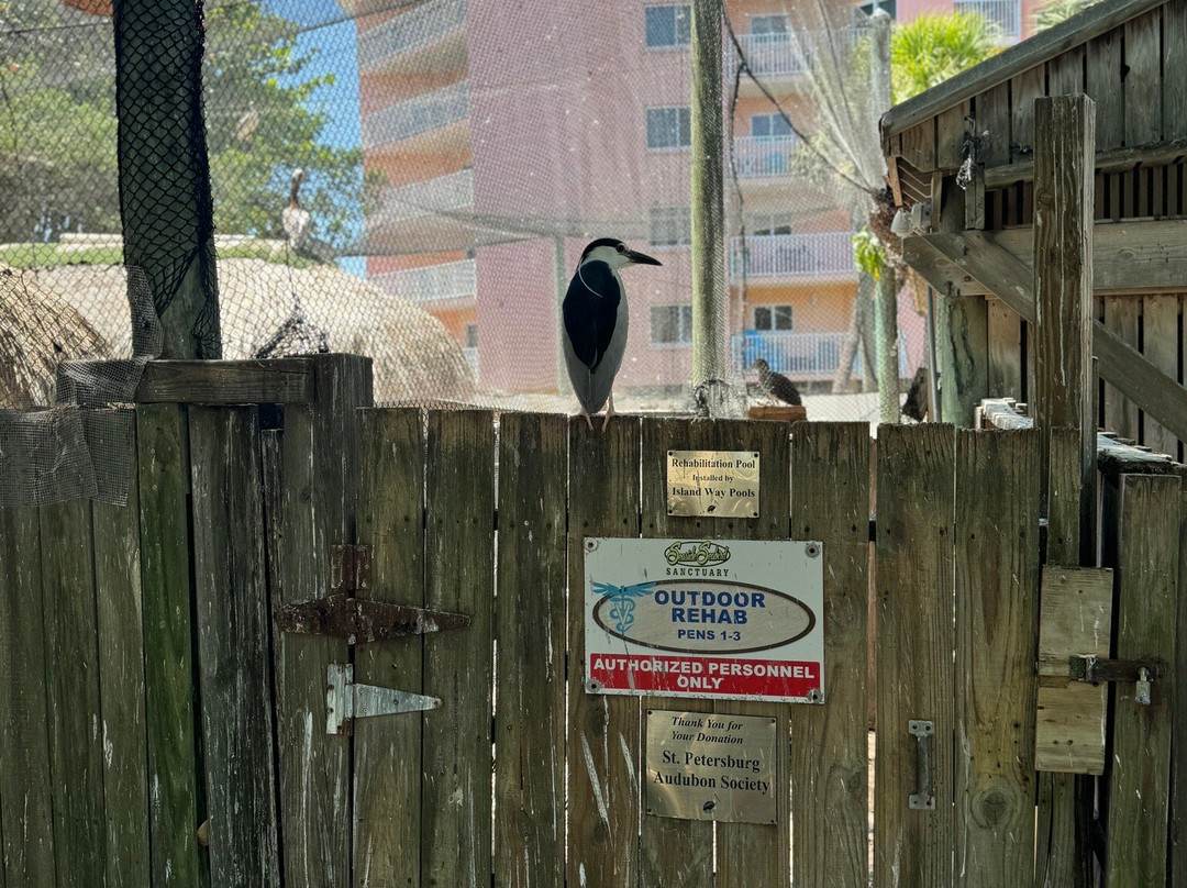 Seaside Seabird Sanctuary-Indian Shores必去景点