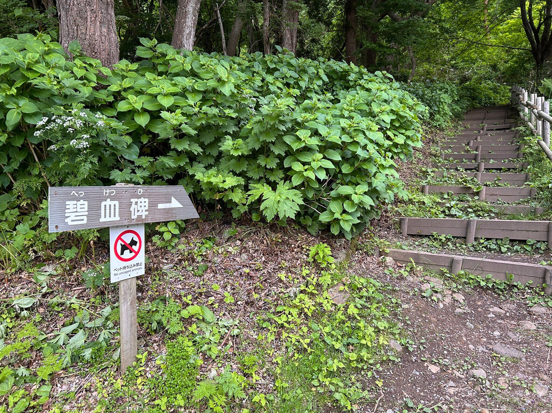 Hekketsu Monument-函馆市必去景点