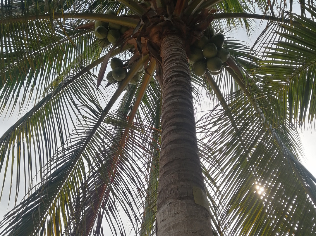 Hotel Casa de las Iguanas主图