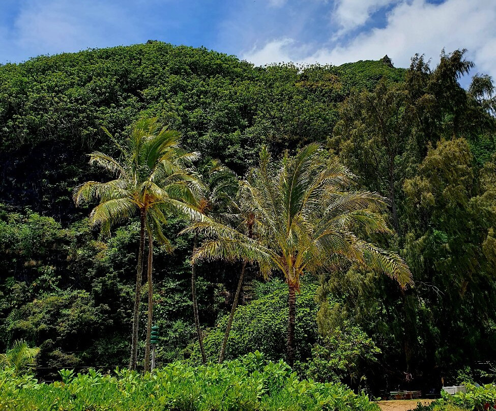 Haena Beach Park-哈耶纳必去景点