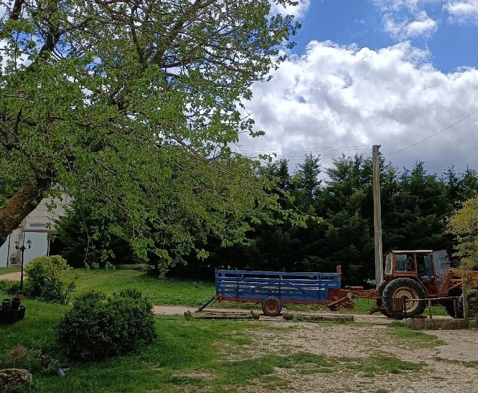 Masseria Salecchia主图