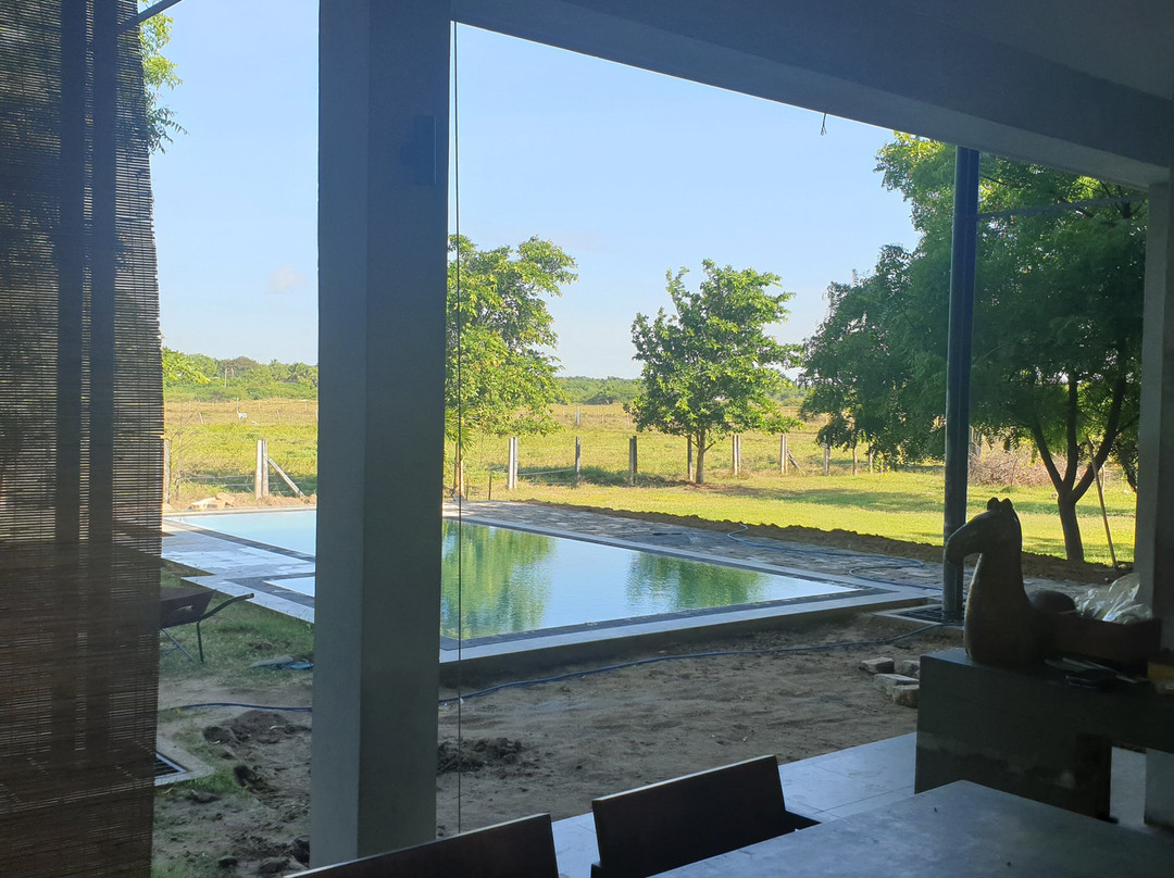 Tree Tops Yala主图