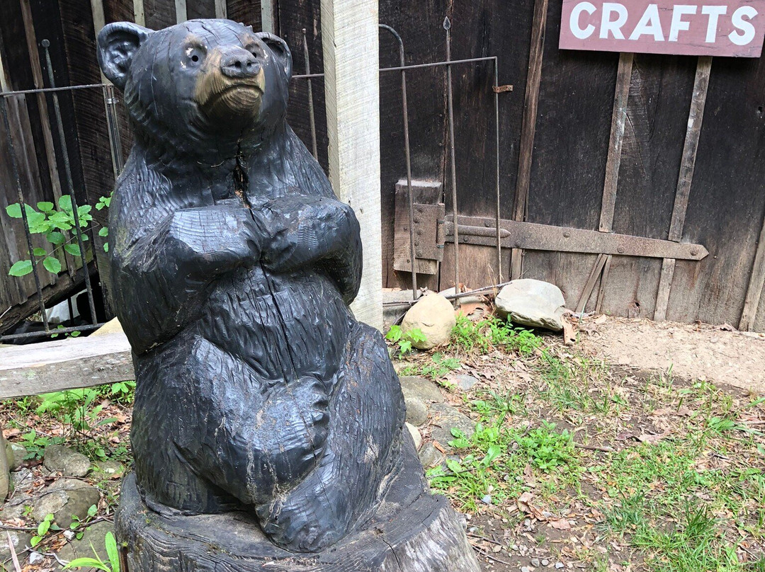 Historic Ogle Log Cabin-盖林柏格必去景点