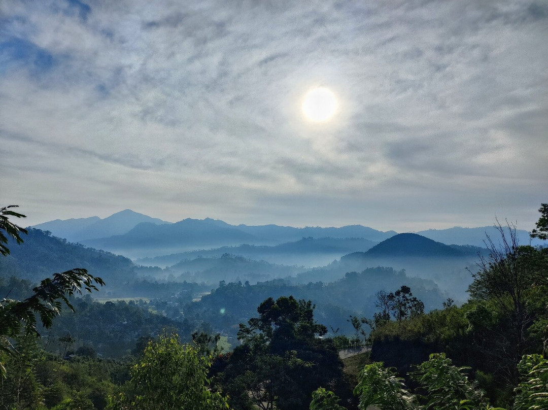 Brisk Ella Retreat主图