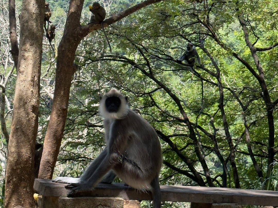 Travel Buddy - Sri Lanka景点图片